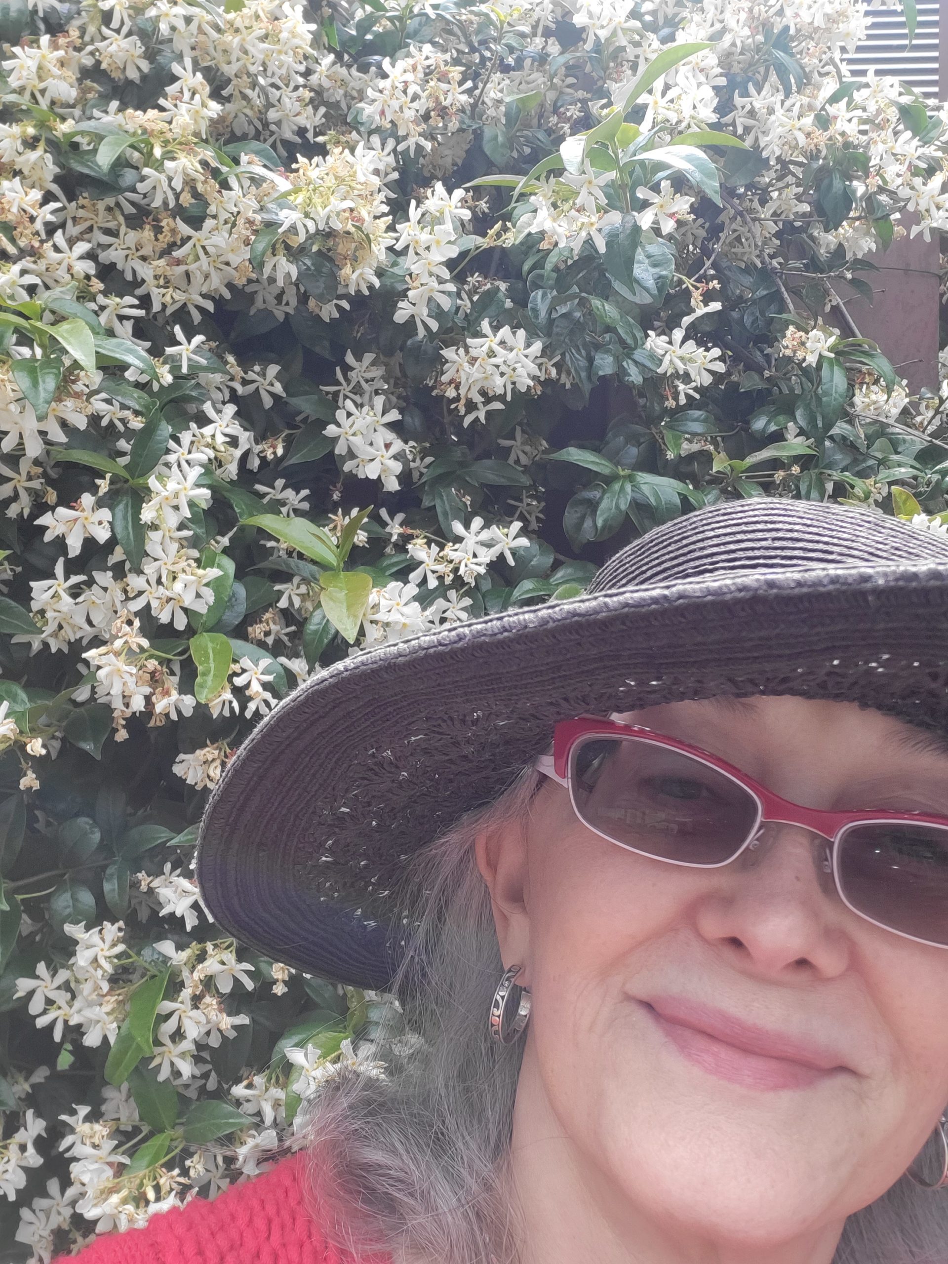 Wall of jasmine in Madrid, Spain